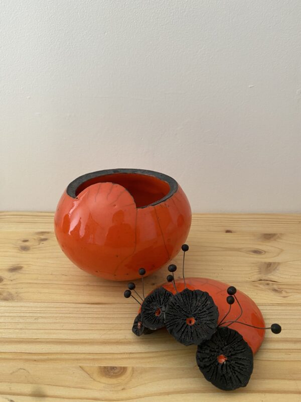 Moyenne boite "Zinnia" – Image 3