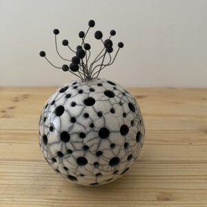 Planète fleur "Belle de Nuit"
