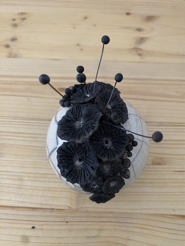 Planète fleur "Pâquerette" – Image 3