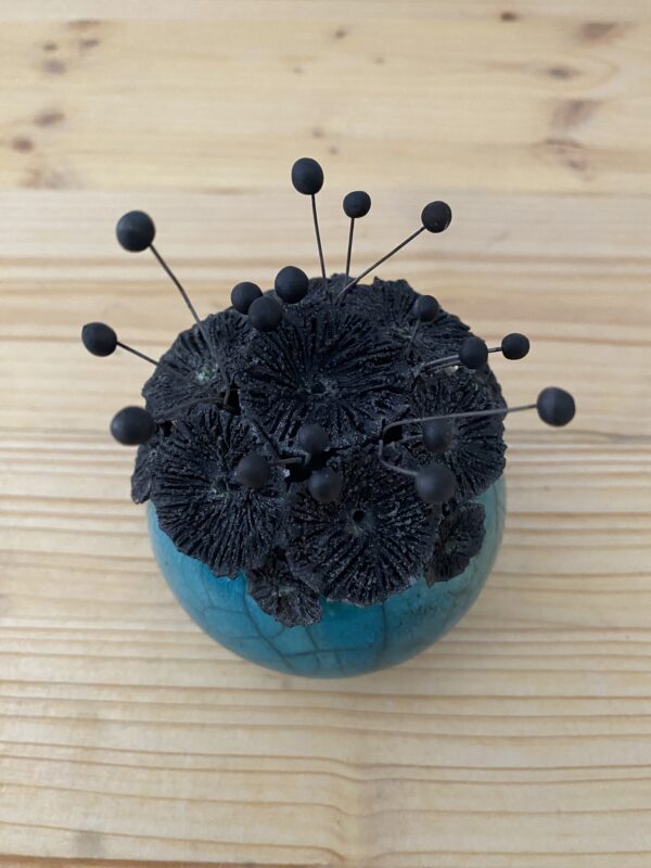 Planète Fleur "Colchique" – Image 2