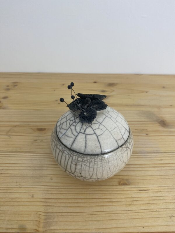 Moyenne boîte « Nigelle » - Image 3